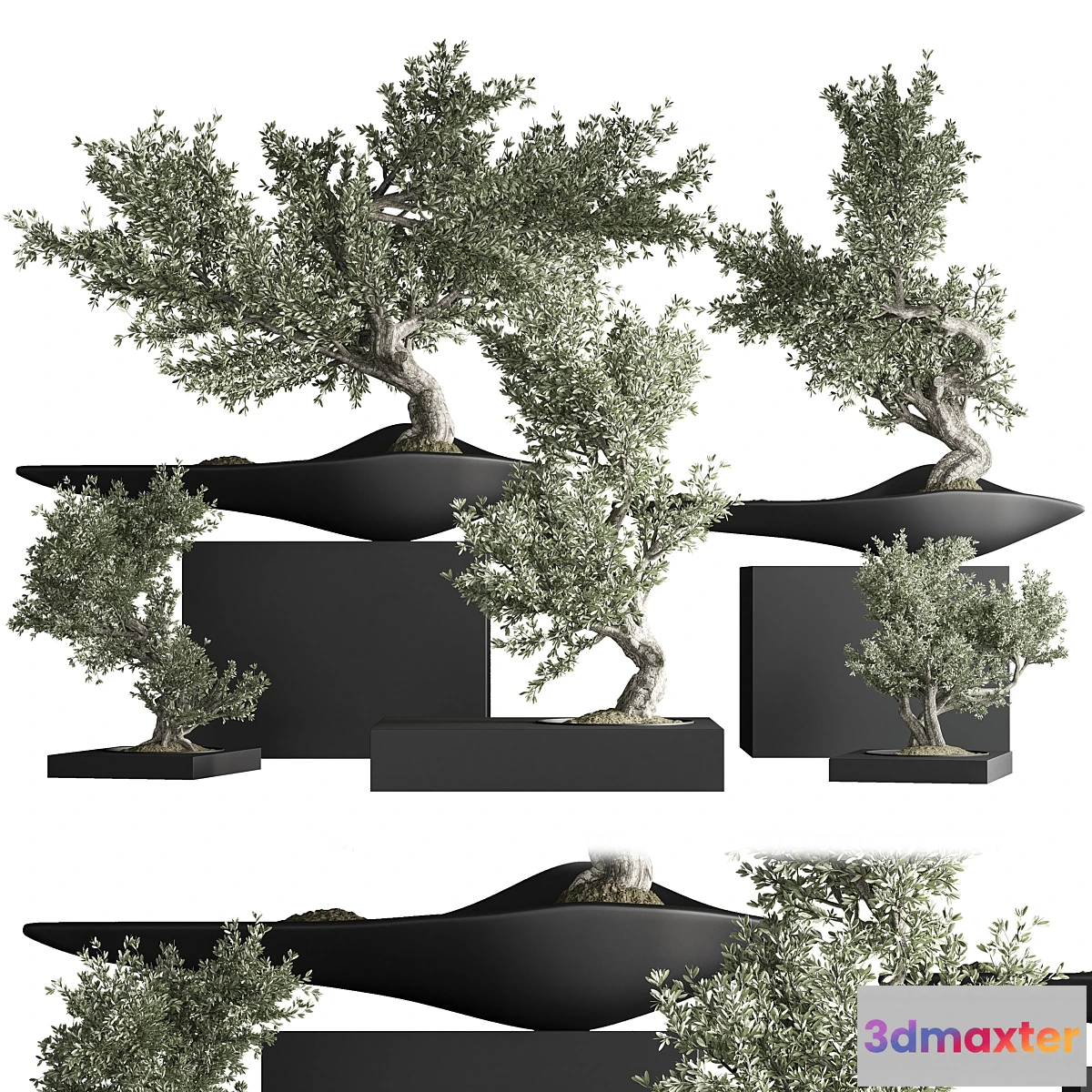 1356977 - indoor plant bonsai set 35 3D Max