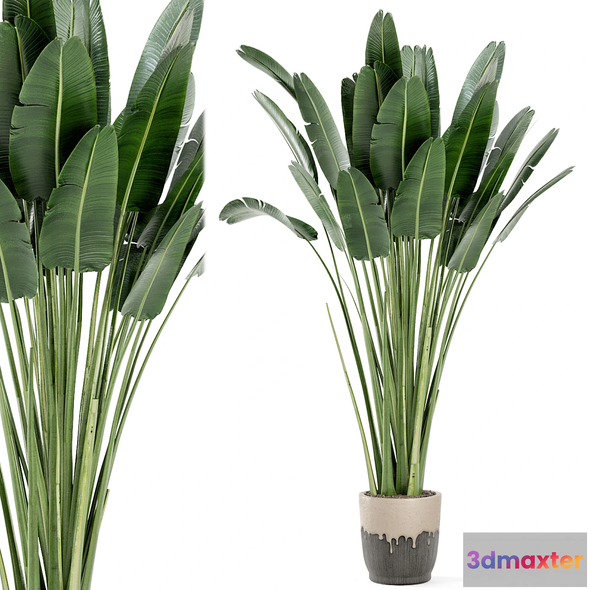 1358075 - Indoor Plants In Handmade Glazed pot - Set 190 3D Max