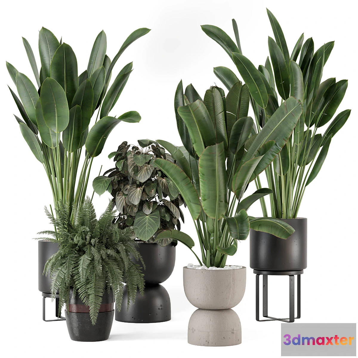 1358127 - Indoor Plants in Ferm Living Bau Pot Large - Set 1256 3D Max