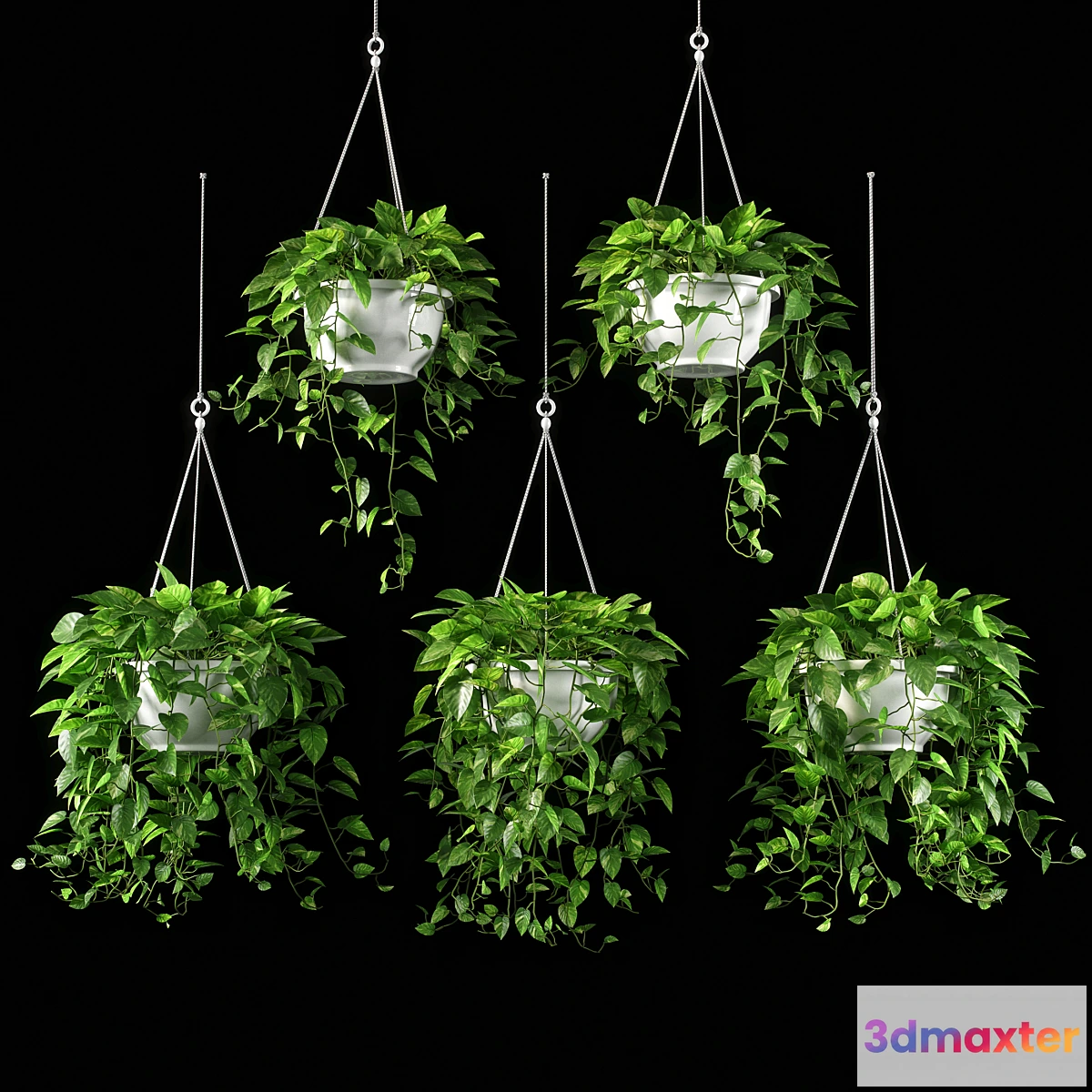 1391878 - plants set 13 3D Max