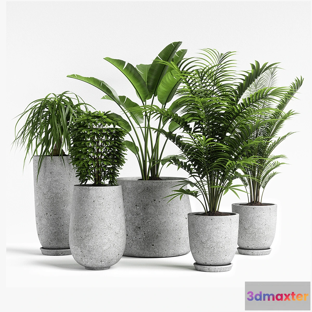 1392720 - plants set 04 3D Max