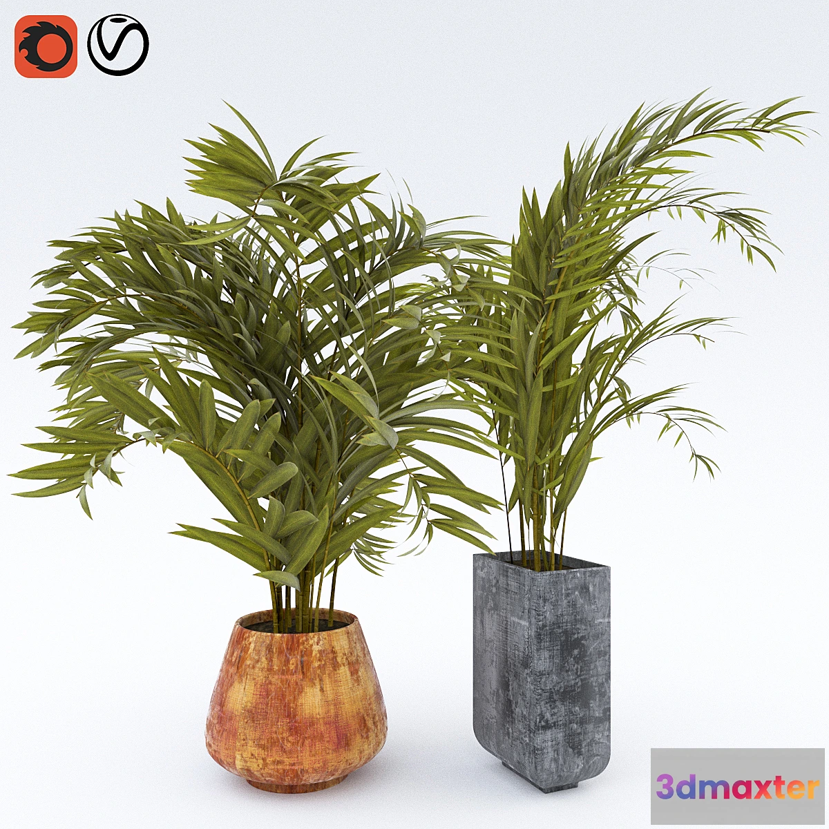 1392788 - Plant_1 3D Max