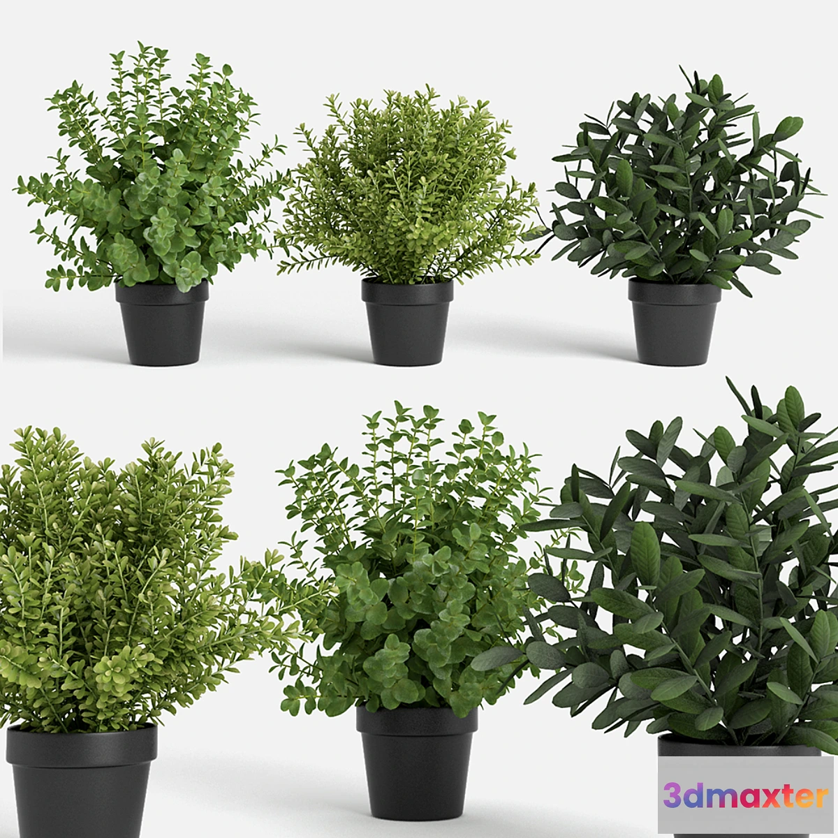 1392904 - plants set 3D Max