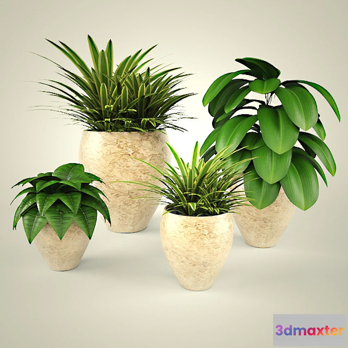 1394632 - PROFI flowers 3D Max