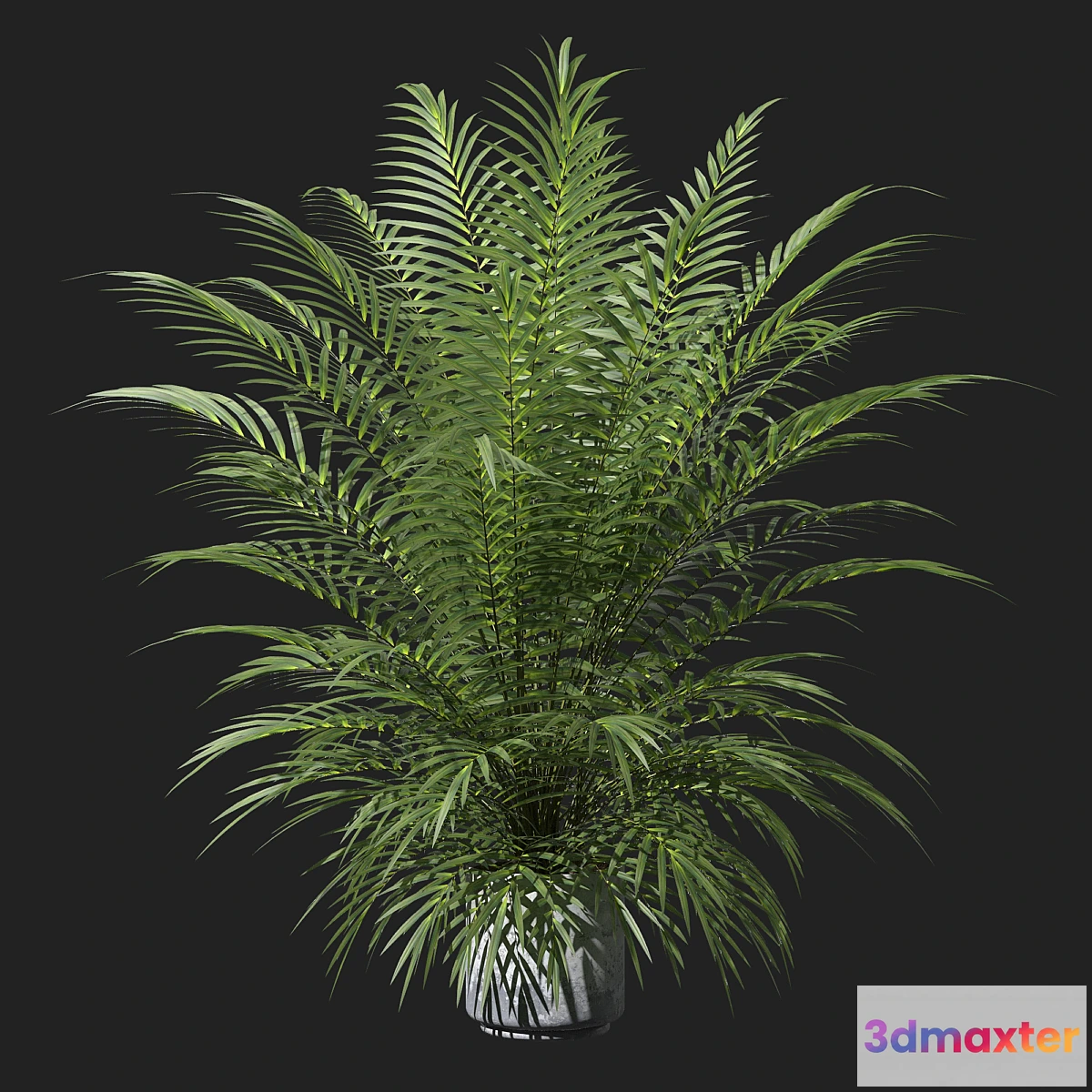 1394930 - Palm tree in a pot 3D Max