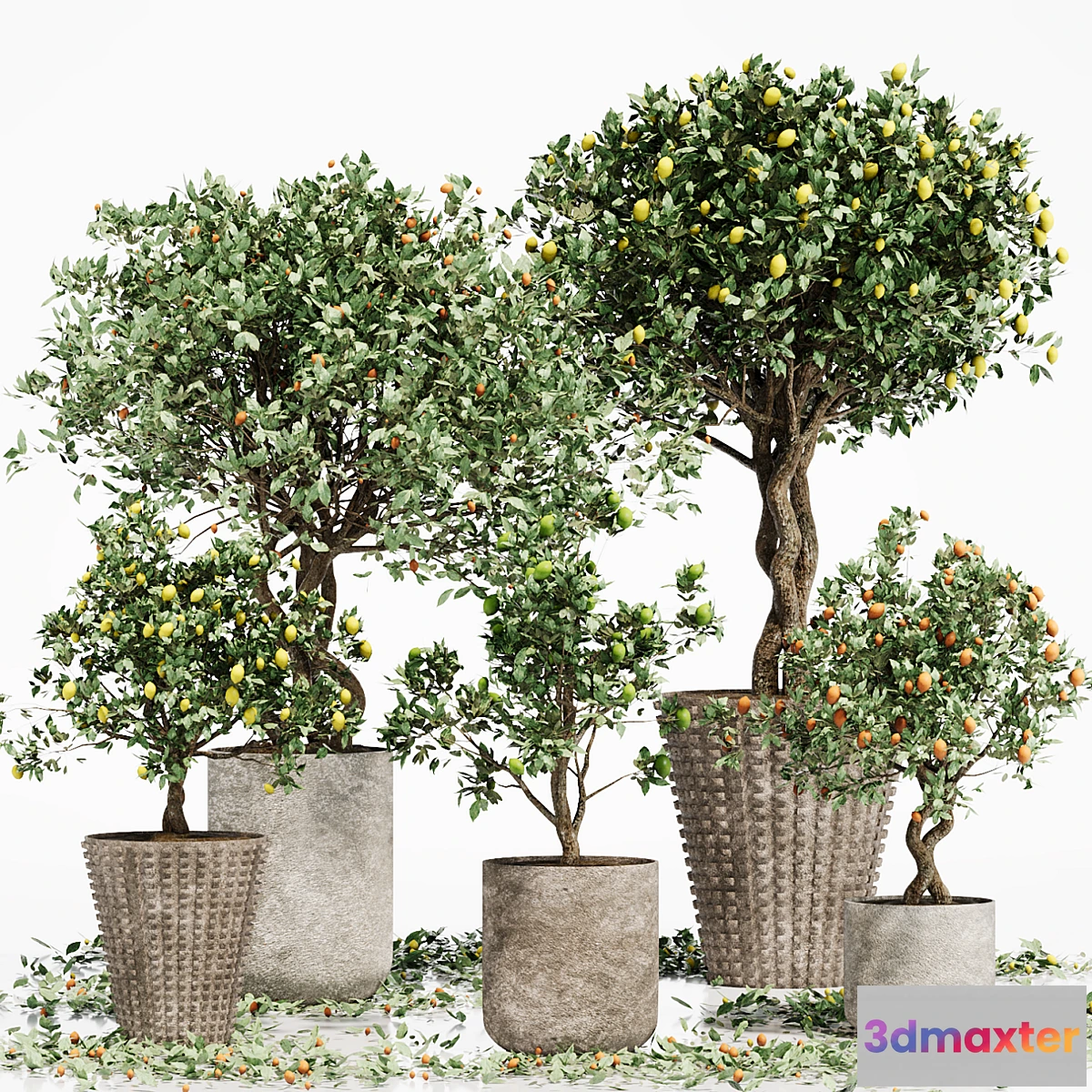 1395030 - INDOOR PLANT SET 06 3D Max