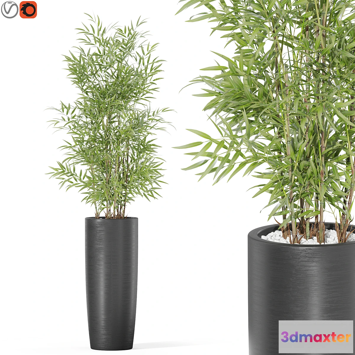 1395934 - Plants collection 1009 3D Max