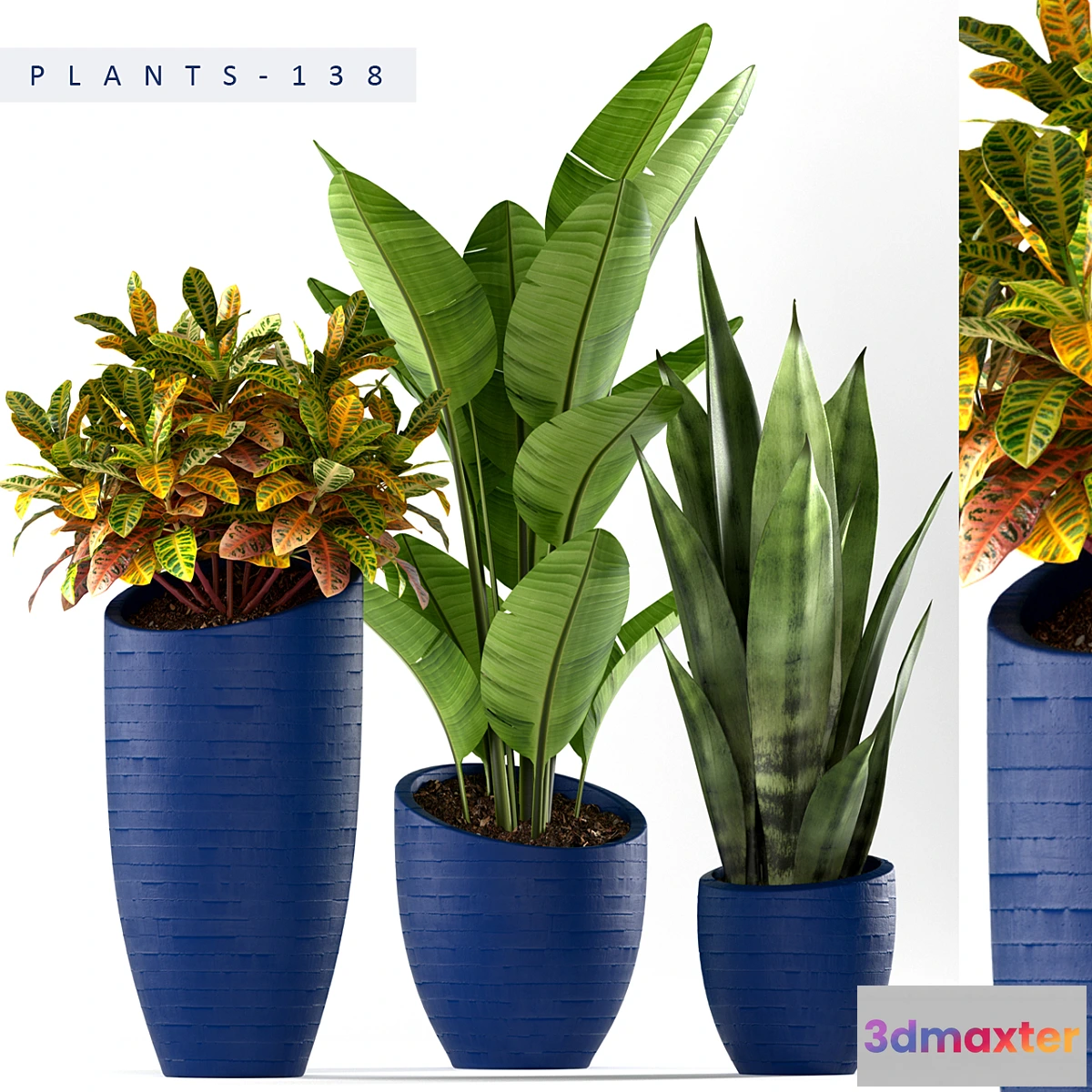 1396166 - PLANTS 138 3D Max