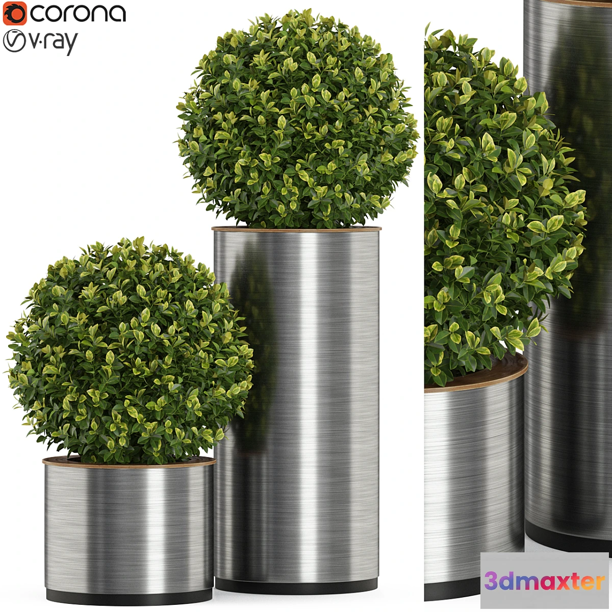 1396236 - Plants collection 512 3D Max