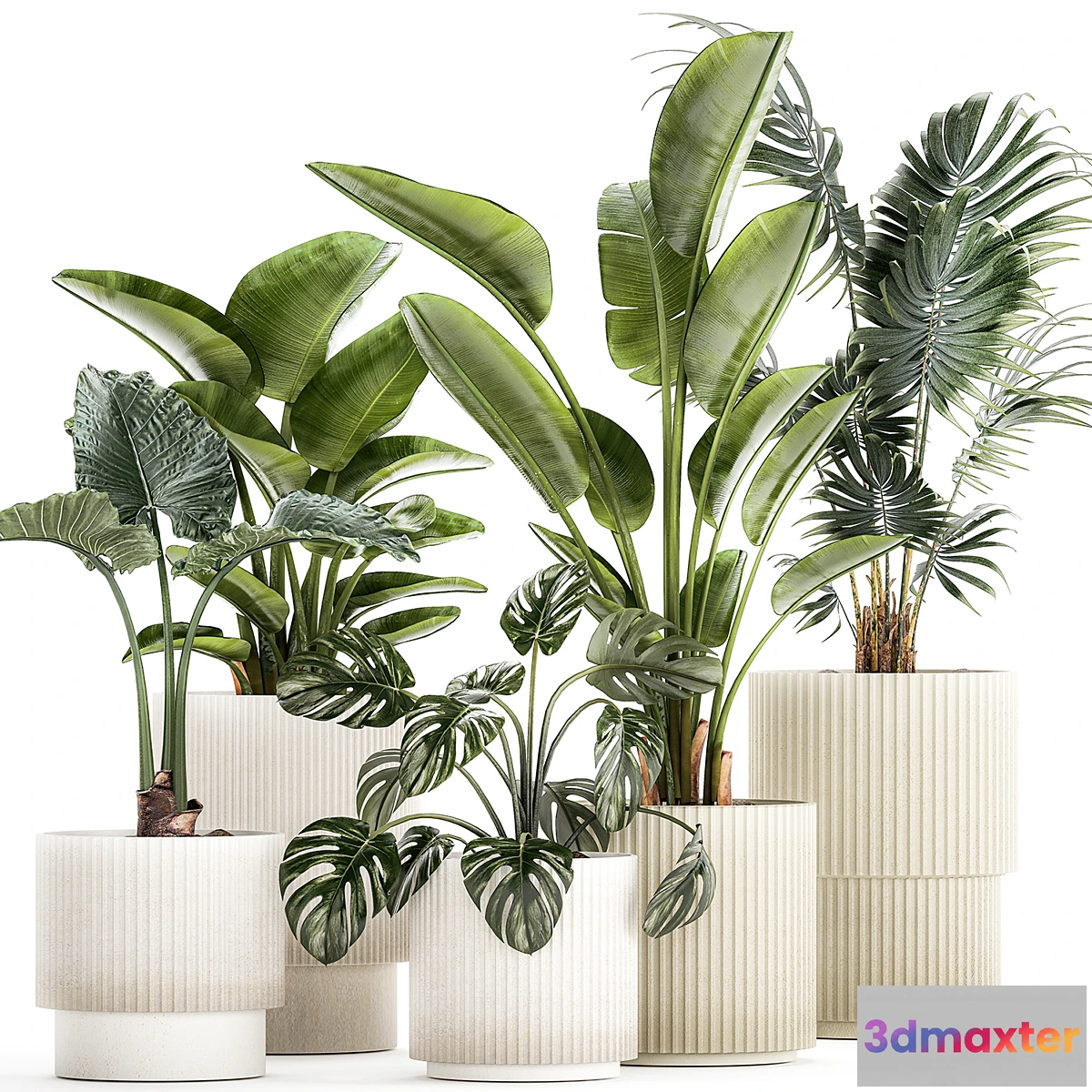 1396256 - Plant collection 1465 3D Max