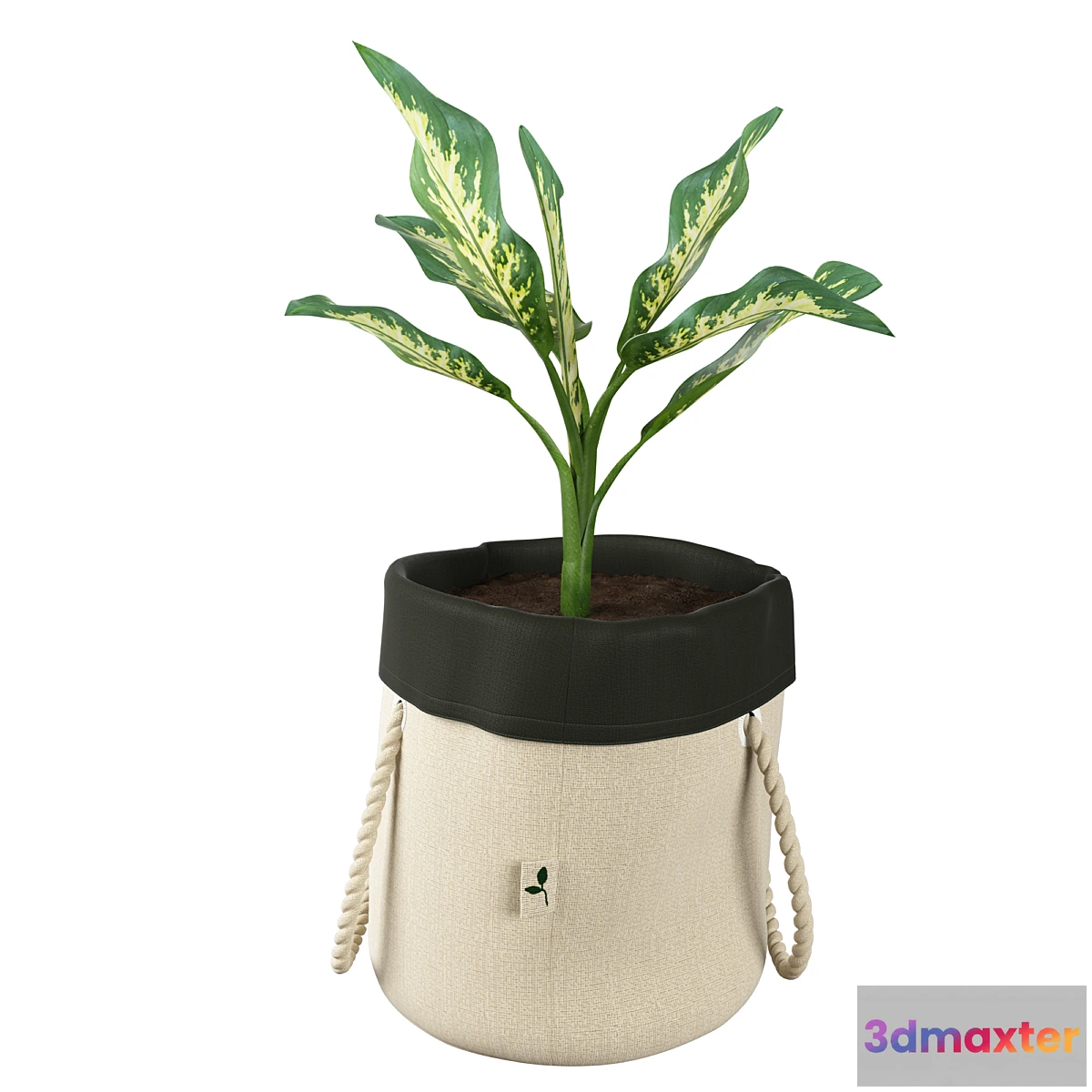 1397740 - Ikea botanisk dieffenbachia 3D Max