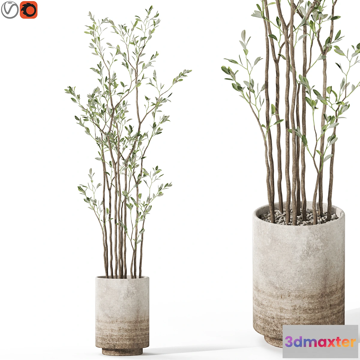 1398184 - Plants collection 1124 3D Max