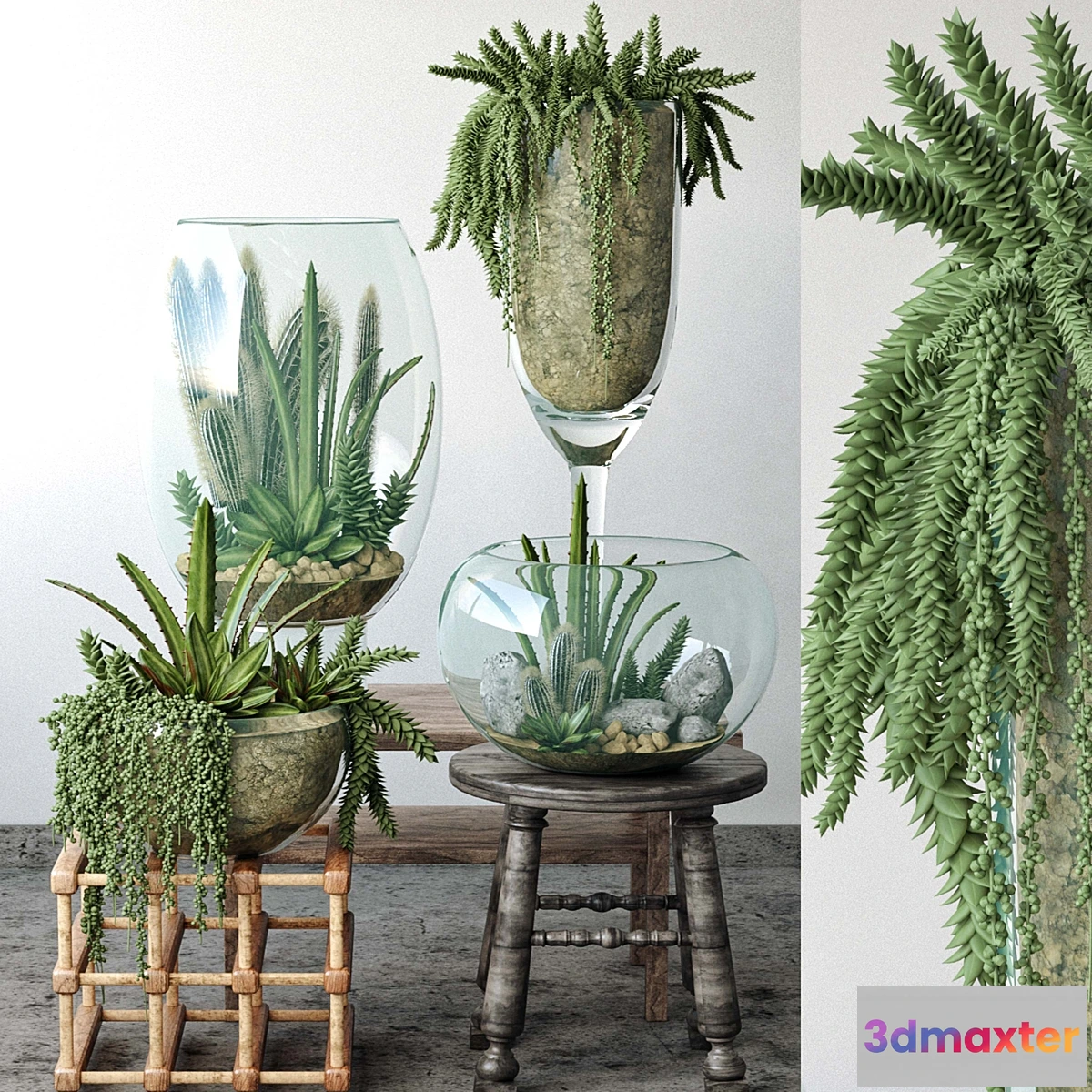 1398426 - JC Small Garden in Glass Bowls 3D Max