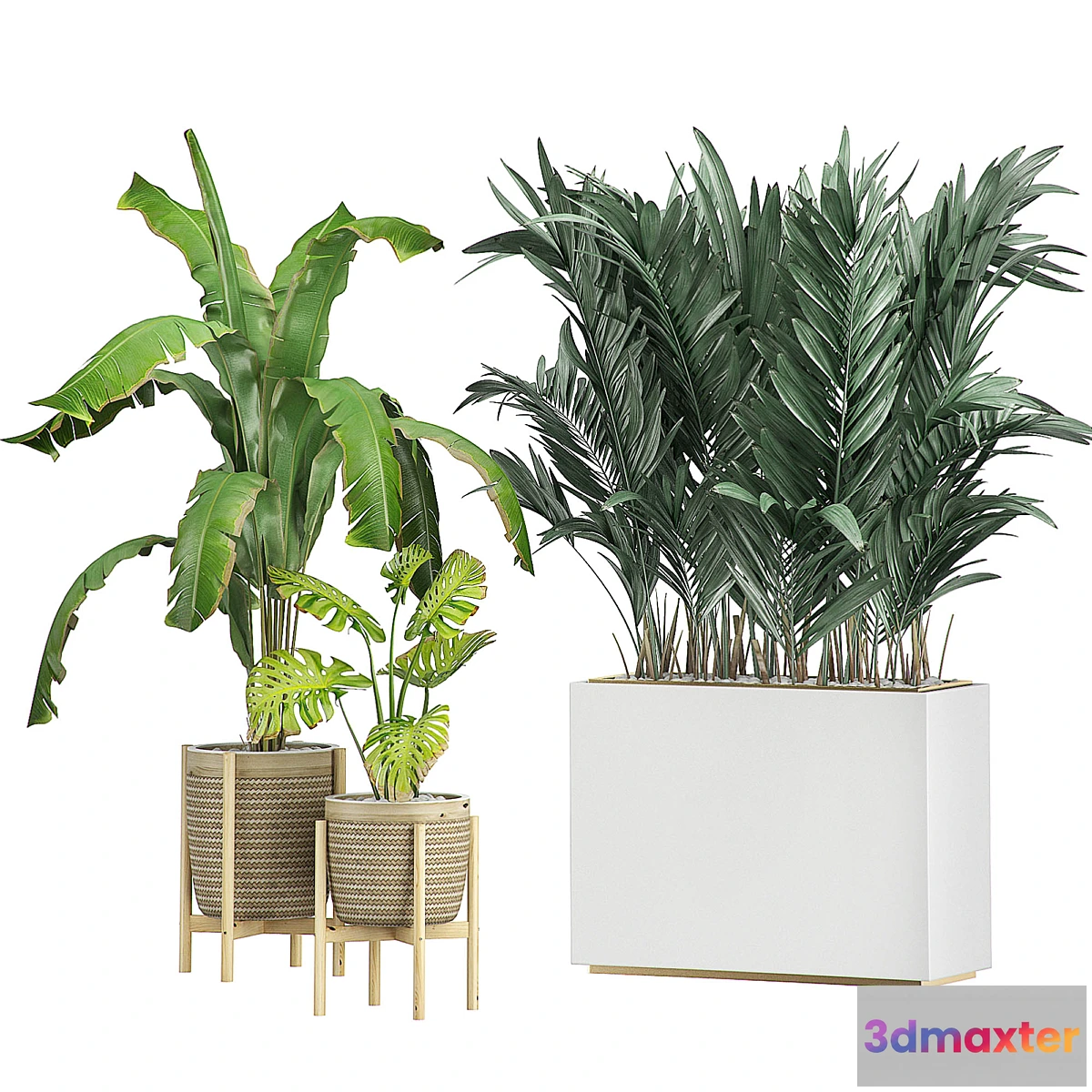 1398484 - FLOWER PACK 107 3D Max