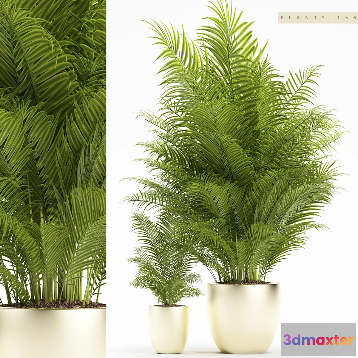 1398832 - PLANTS 156 3D Max