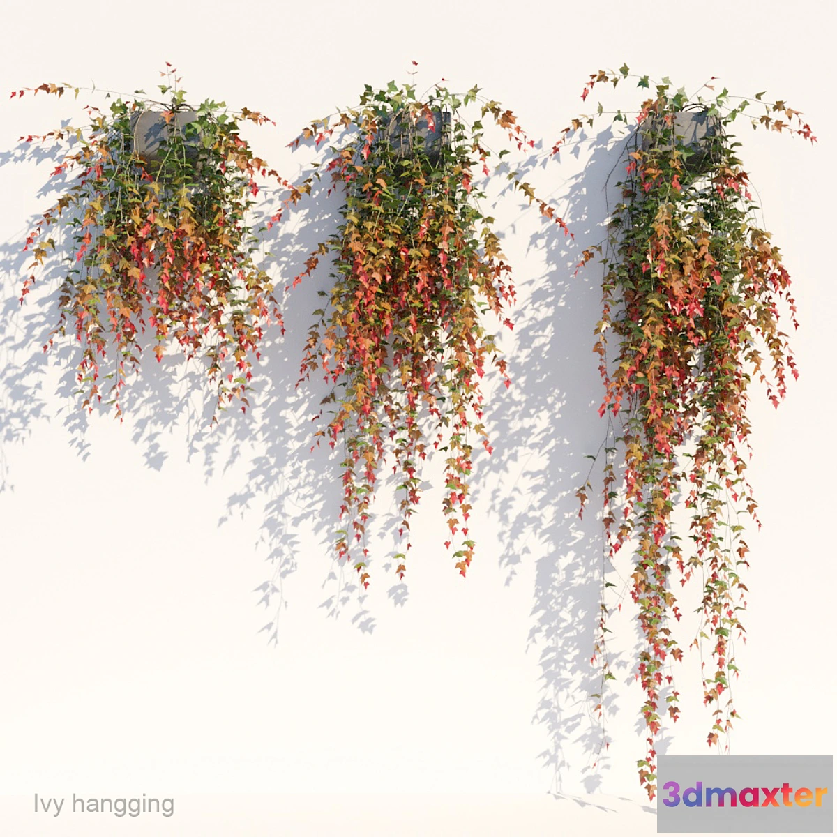 1401158 - Ivy in pot hanging V1 3D Max