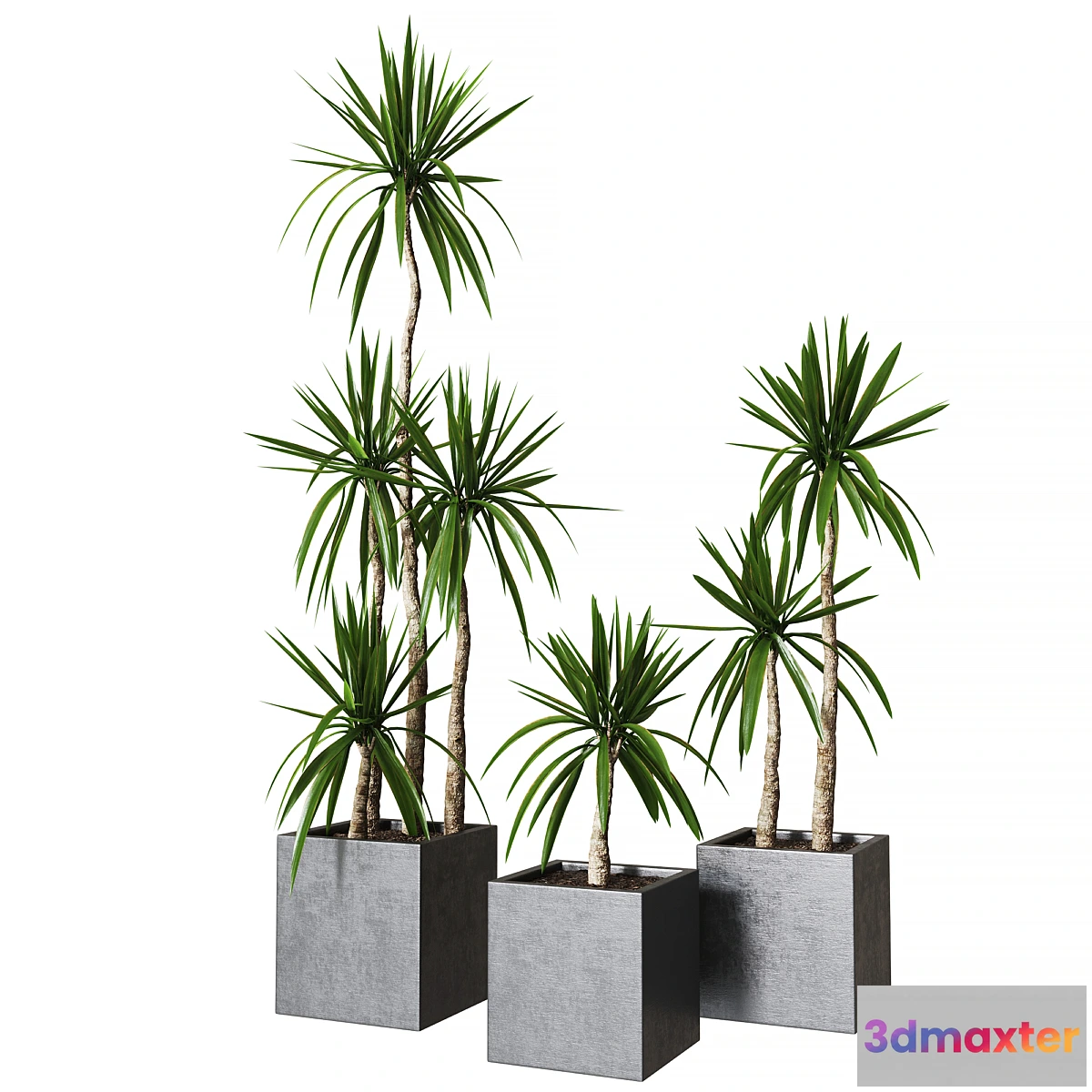 1402792 - Yucca pot 01_Collection of plants 03 3D Max