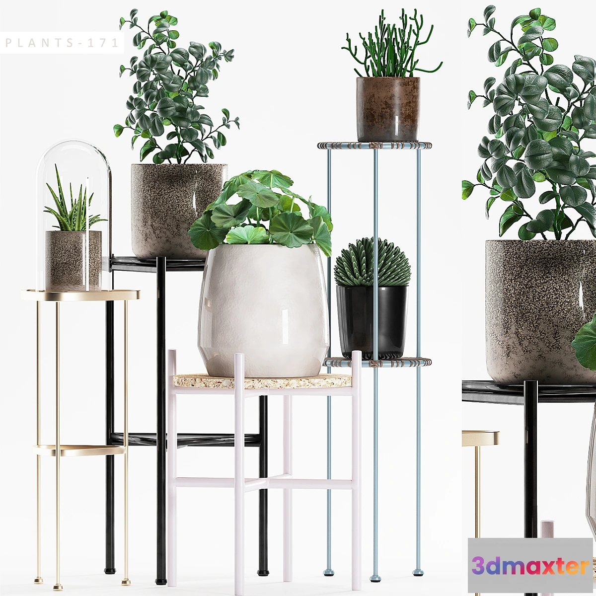 1402798 - PLANTS 171 3D Max