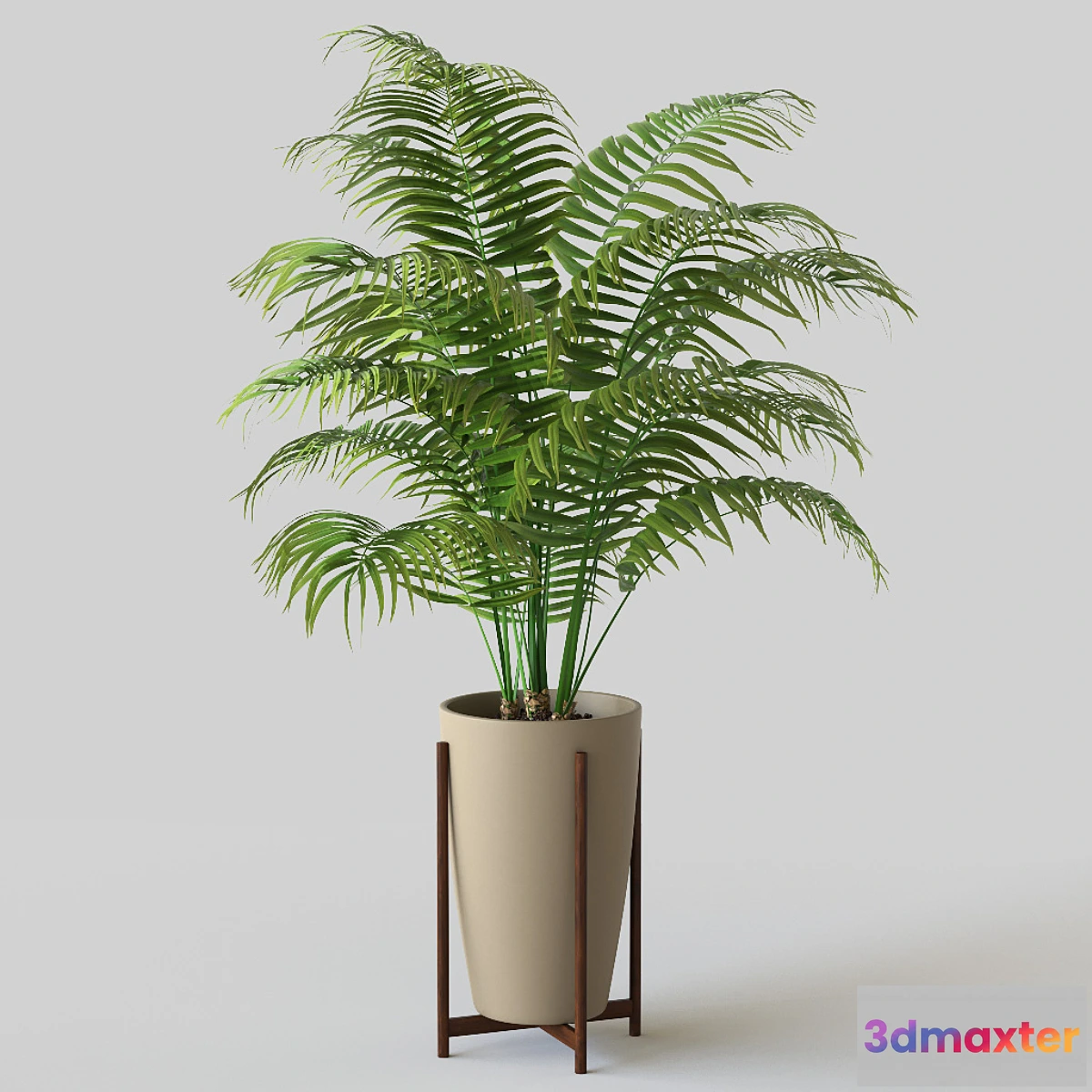 1402878 - Palm in pot 3D Max