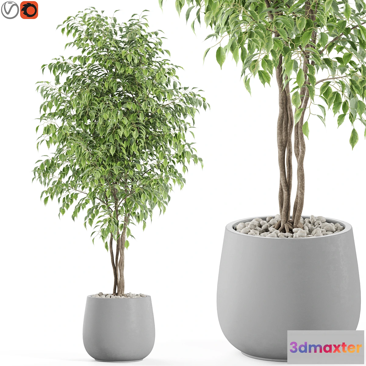 1403018 - Plants collection 975 3D Max