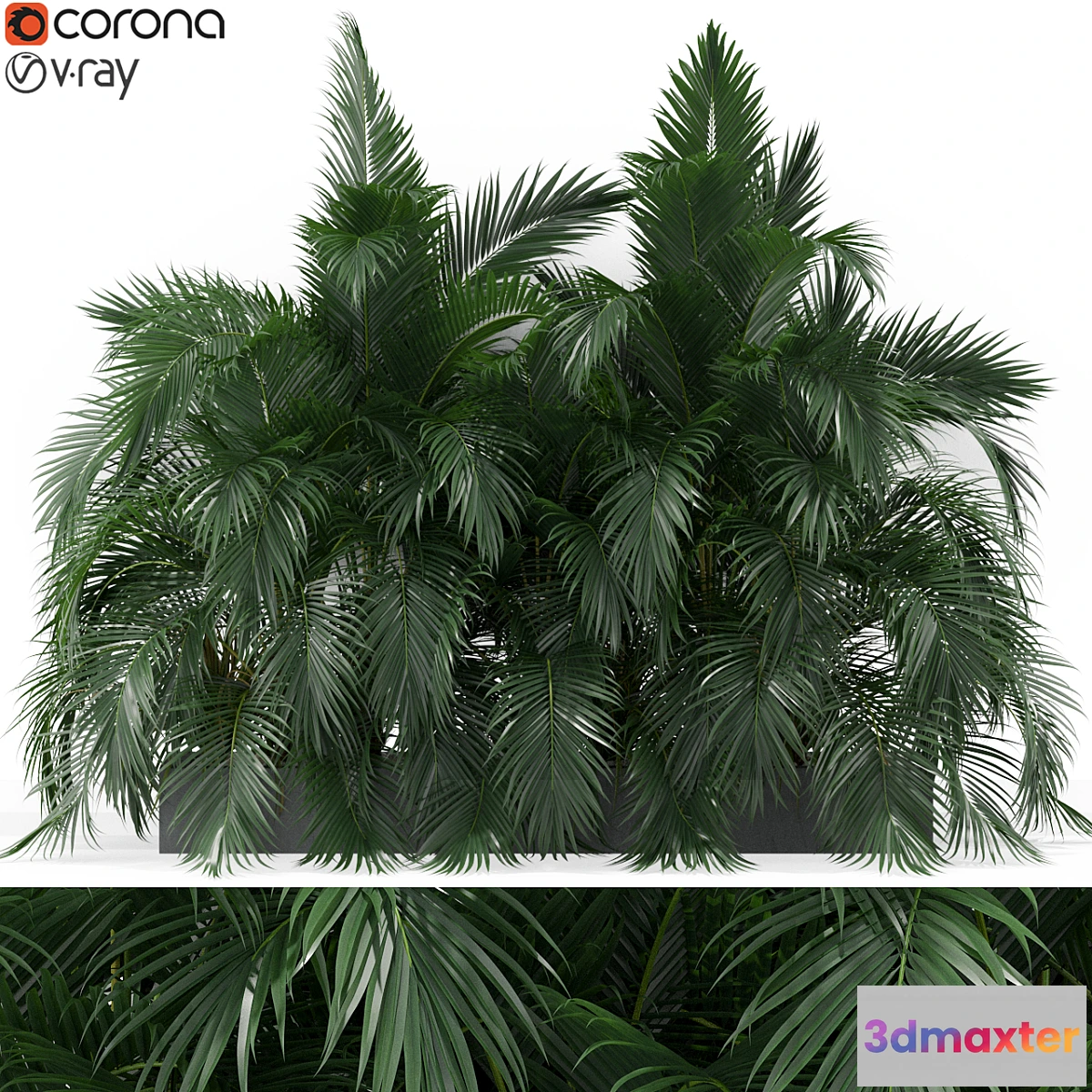 1403448 - Plants collection 358 3D Max