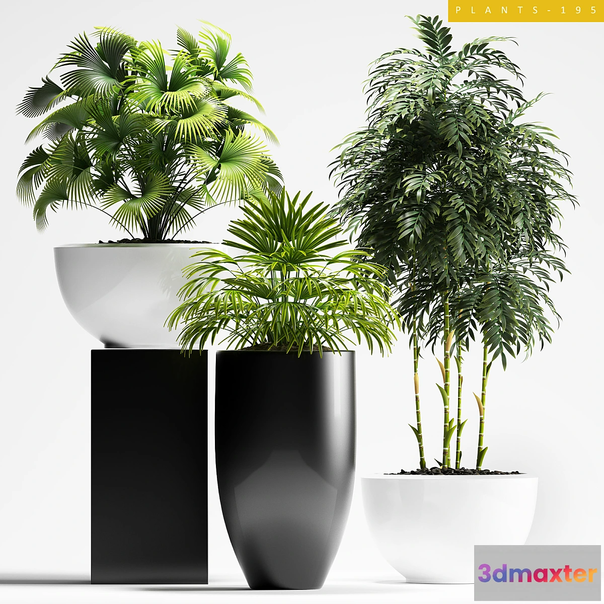 1403472 - PLANTS 195 3D Max