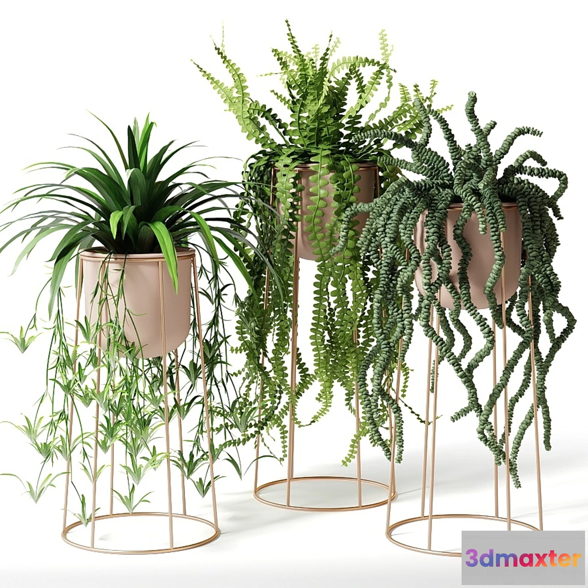 1403478 - Indoor plants in decorative pots 3D Max