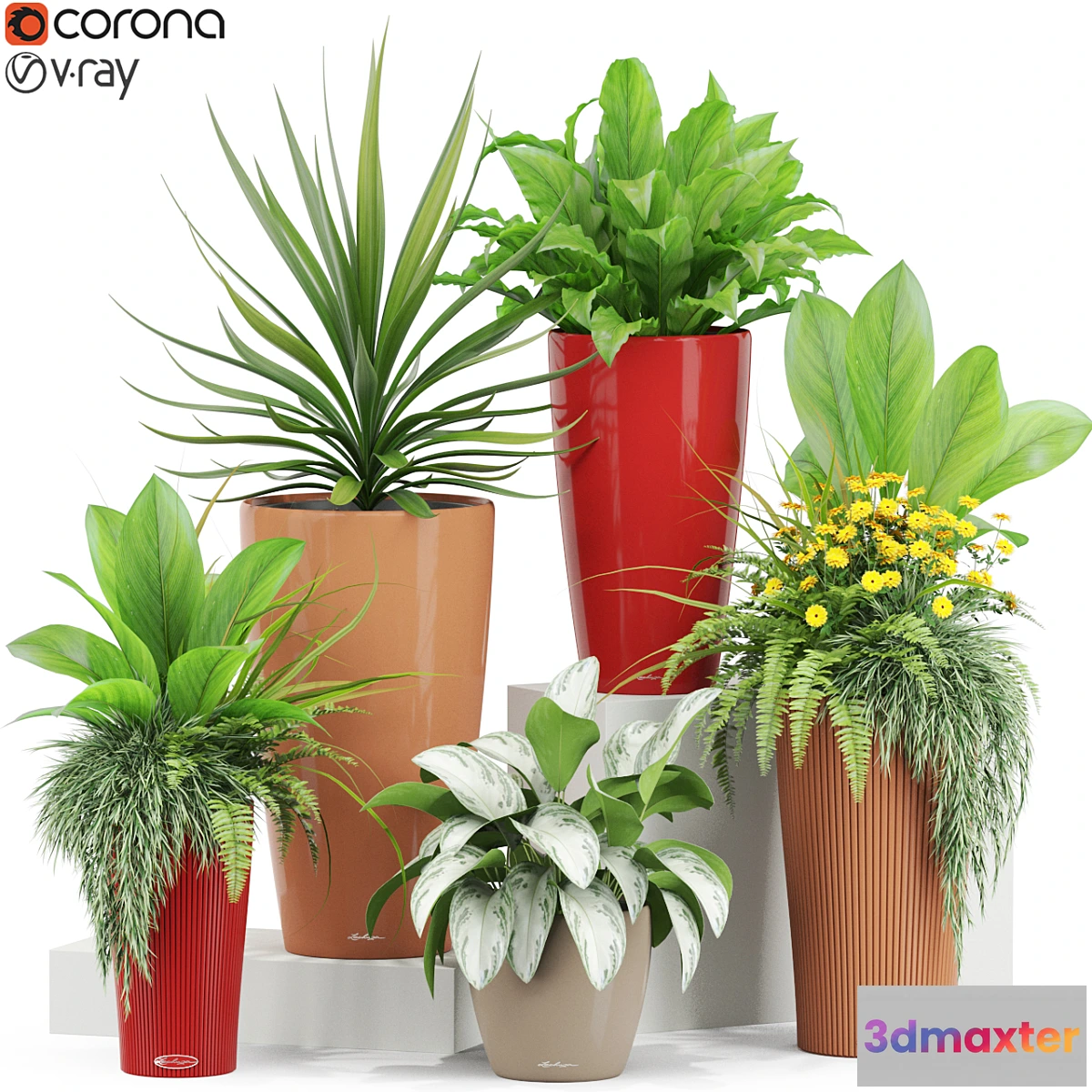 1403740 - Plants collection 436 3D Max