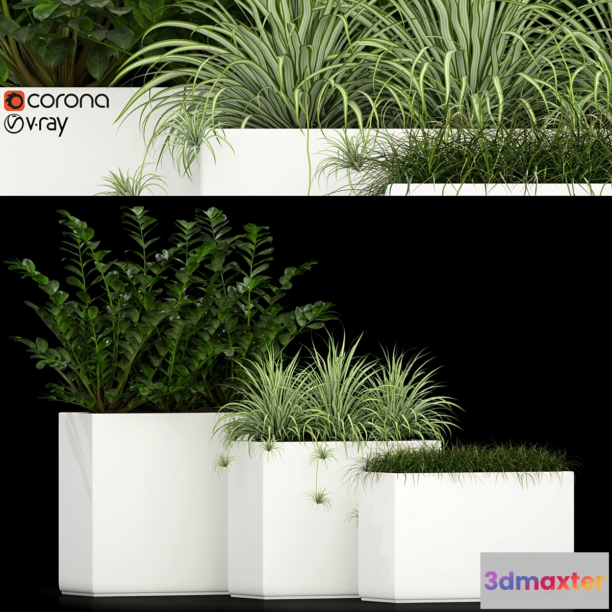 1403766 - Plants collection 186 3D Max