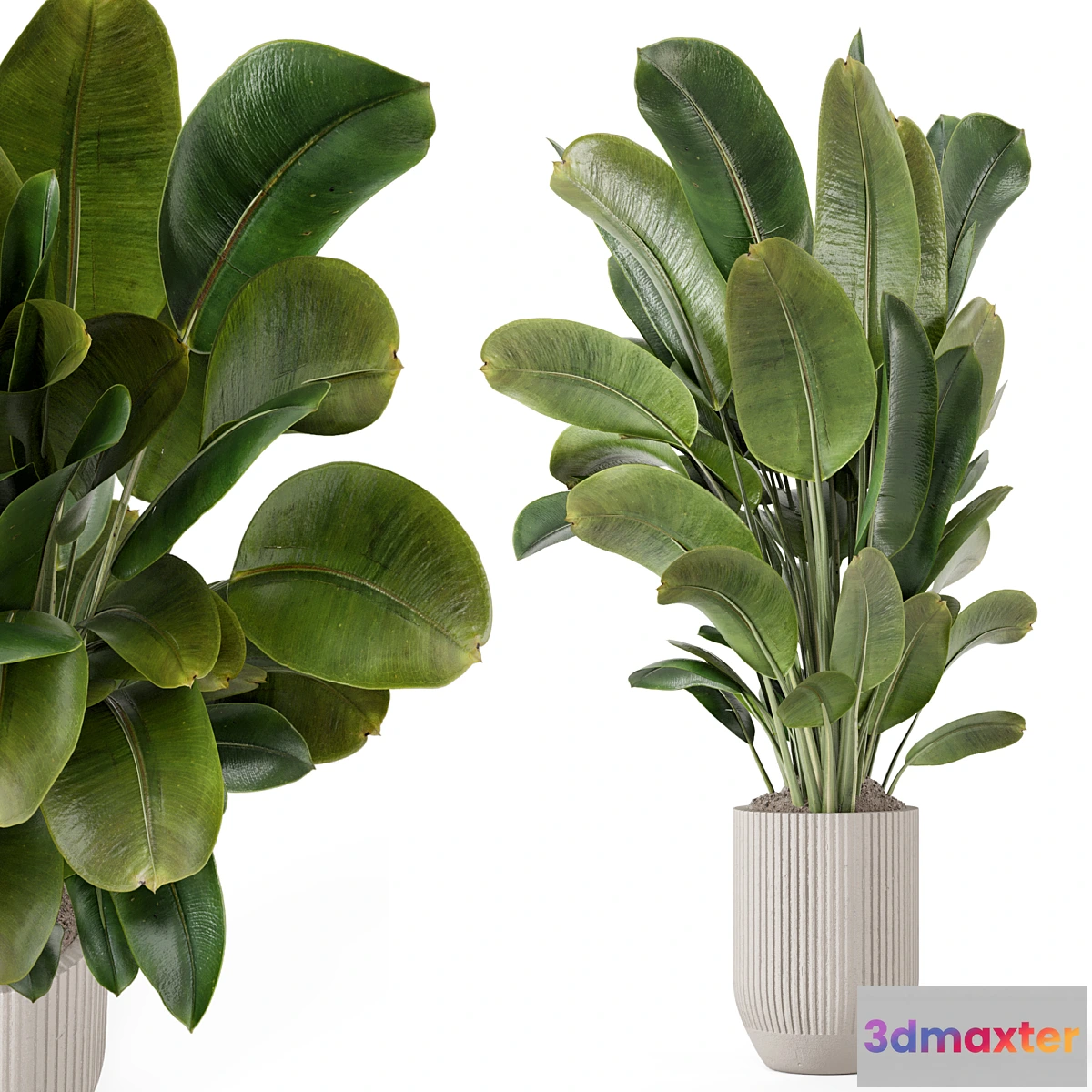 1403936 - Indoor Plants in Handmade Stone Pot - Set 1850 3D Max