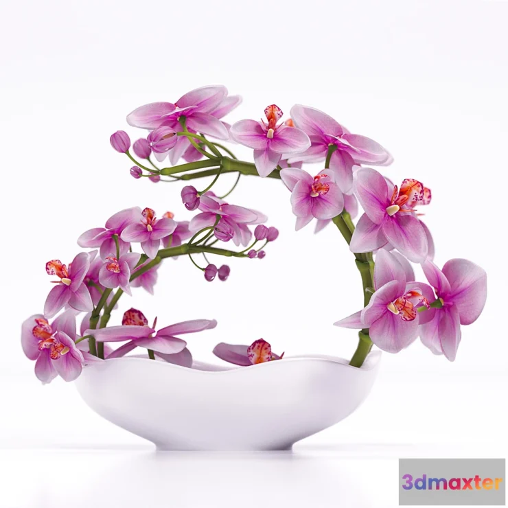 1404760 - ORCHID 3 3D Max