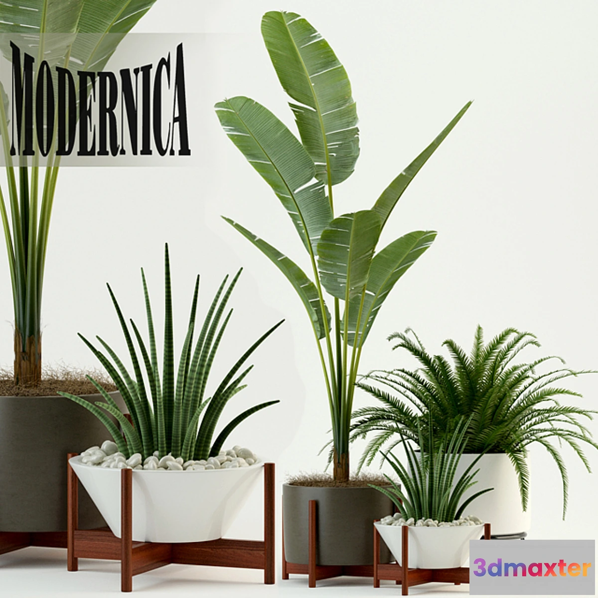 1404970 - Plants collection 76 Modernica pots 3D Max