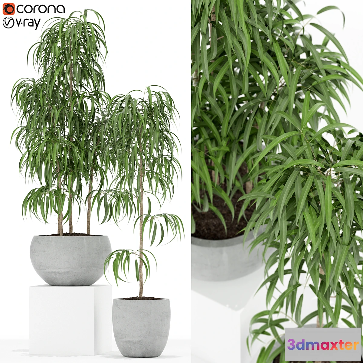 1404972 - Plants collection 157 3D Max