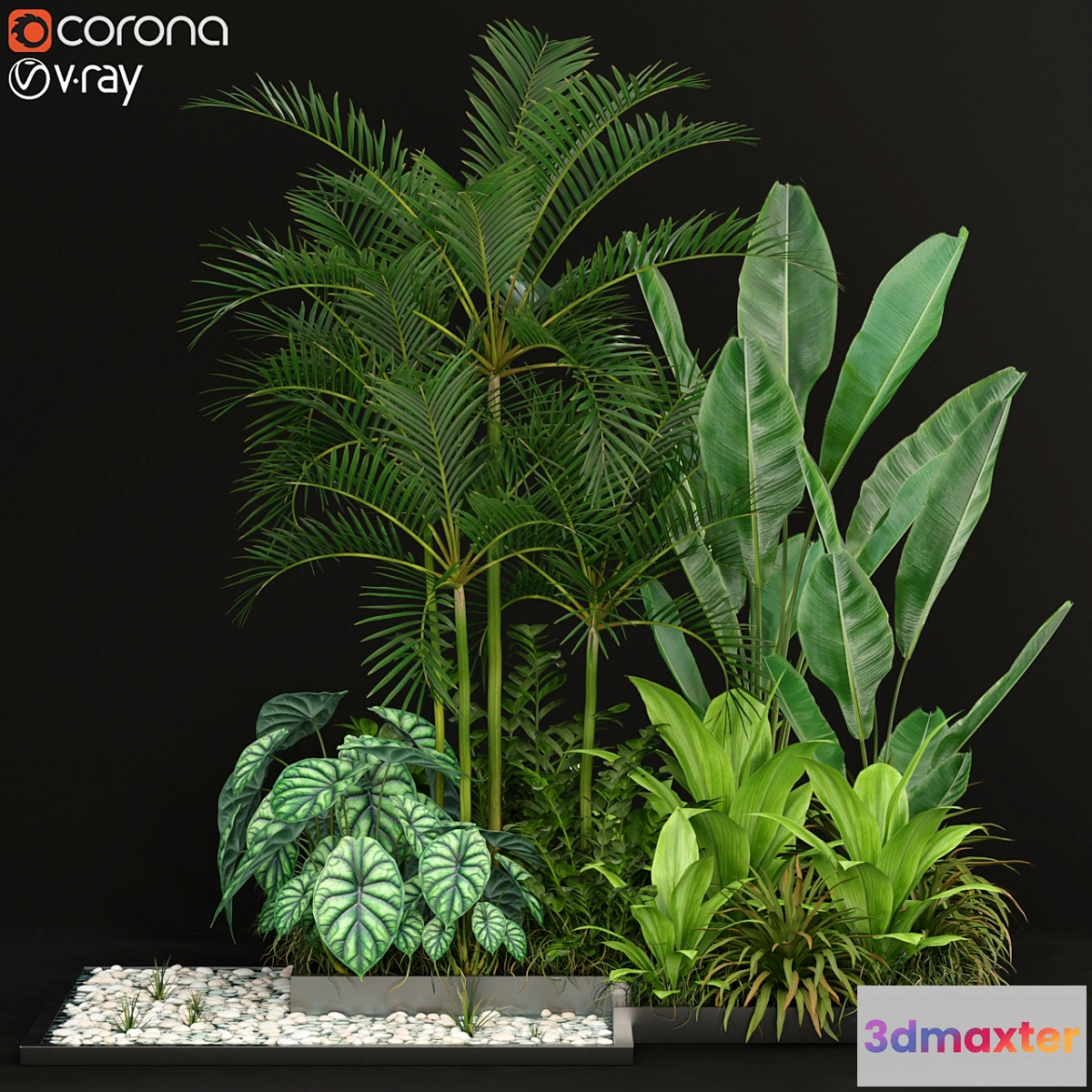 1405398 - Plants collection 198 3D Max