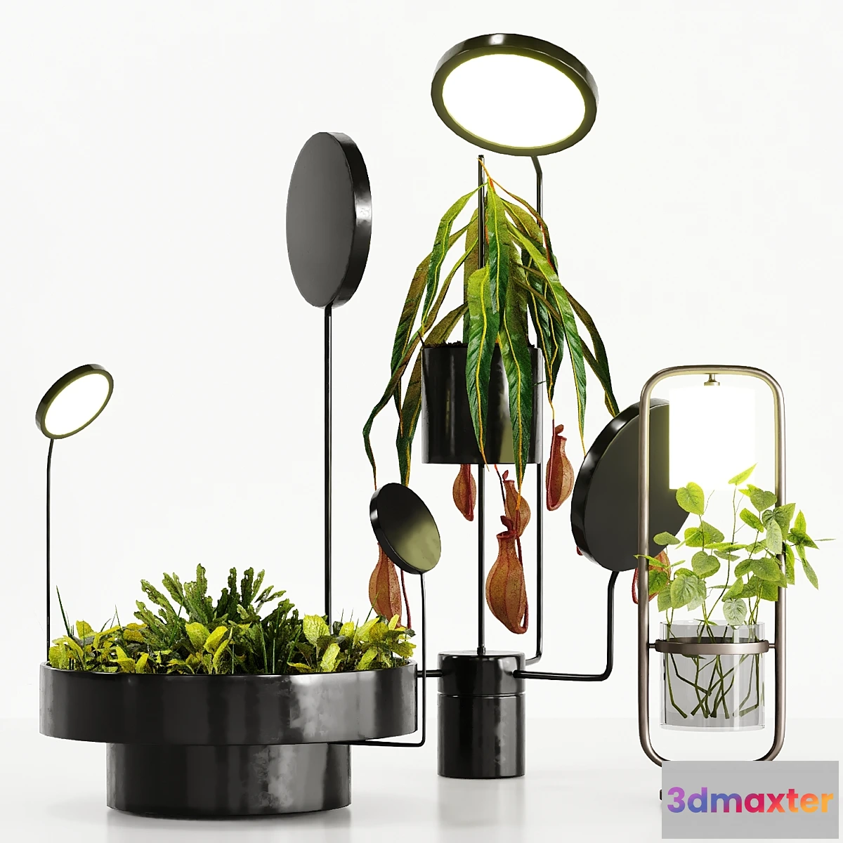 1405918 - Plant Set With Lights 3D Max