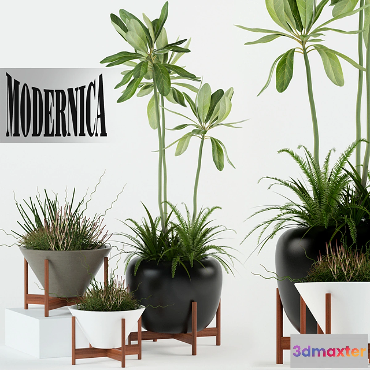 1405956 - Plants collection 77 Modernica pots 3D Max