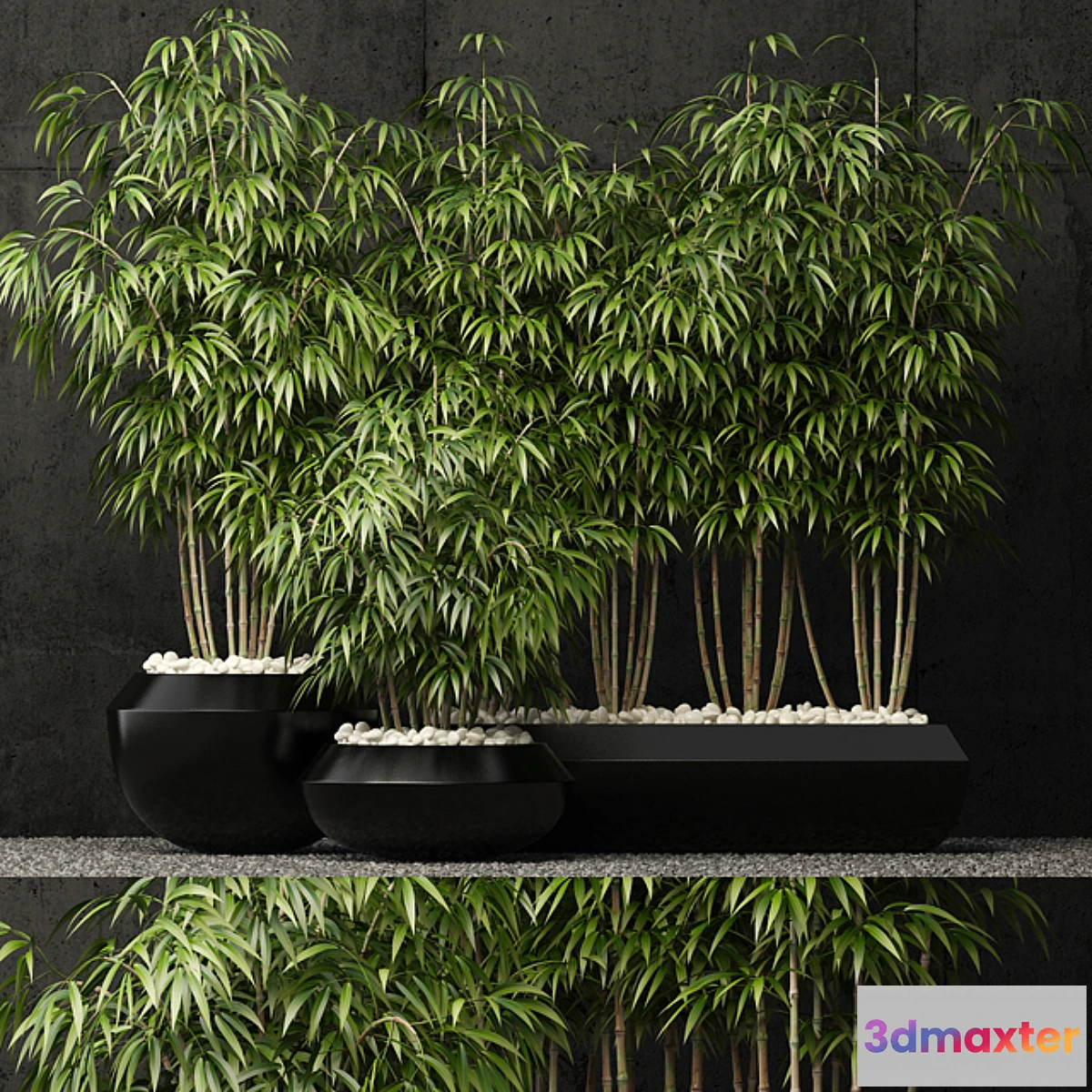 1406256 - Plants collection 66 3D Max