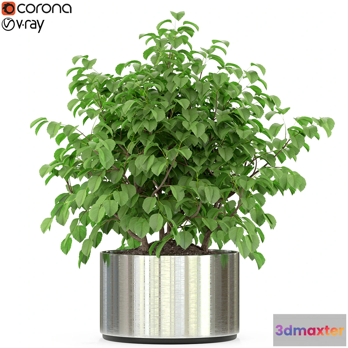 1406608 - Plants collection 246 3D Max