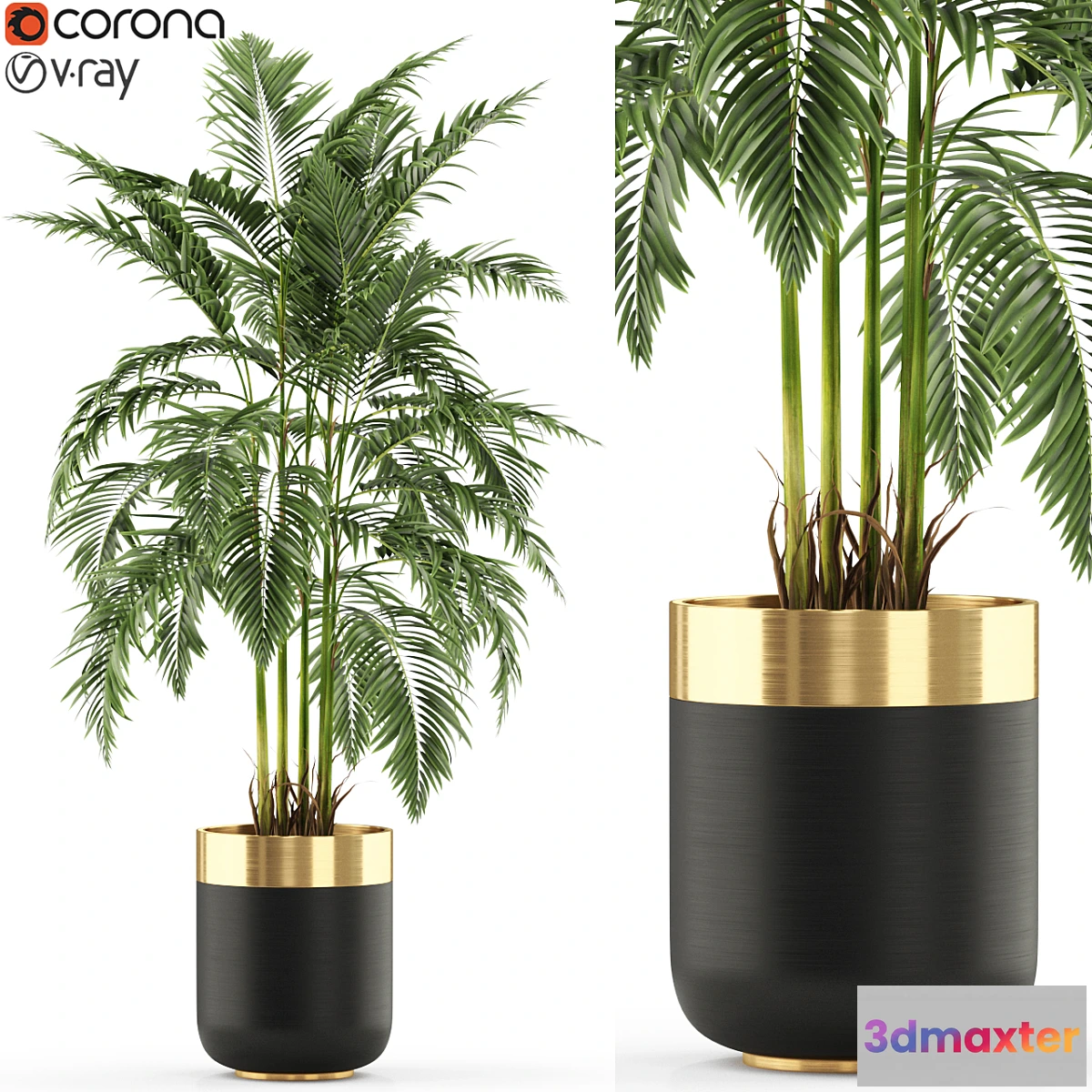 1407198 - Plants collection 483 3D Max