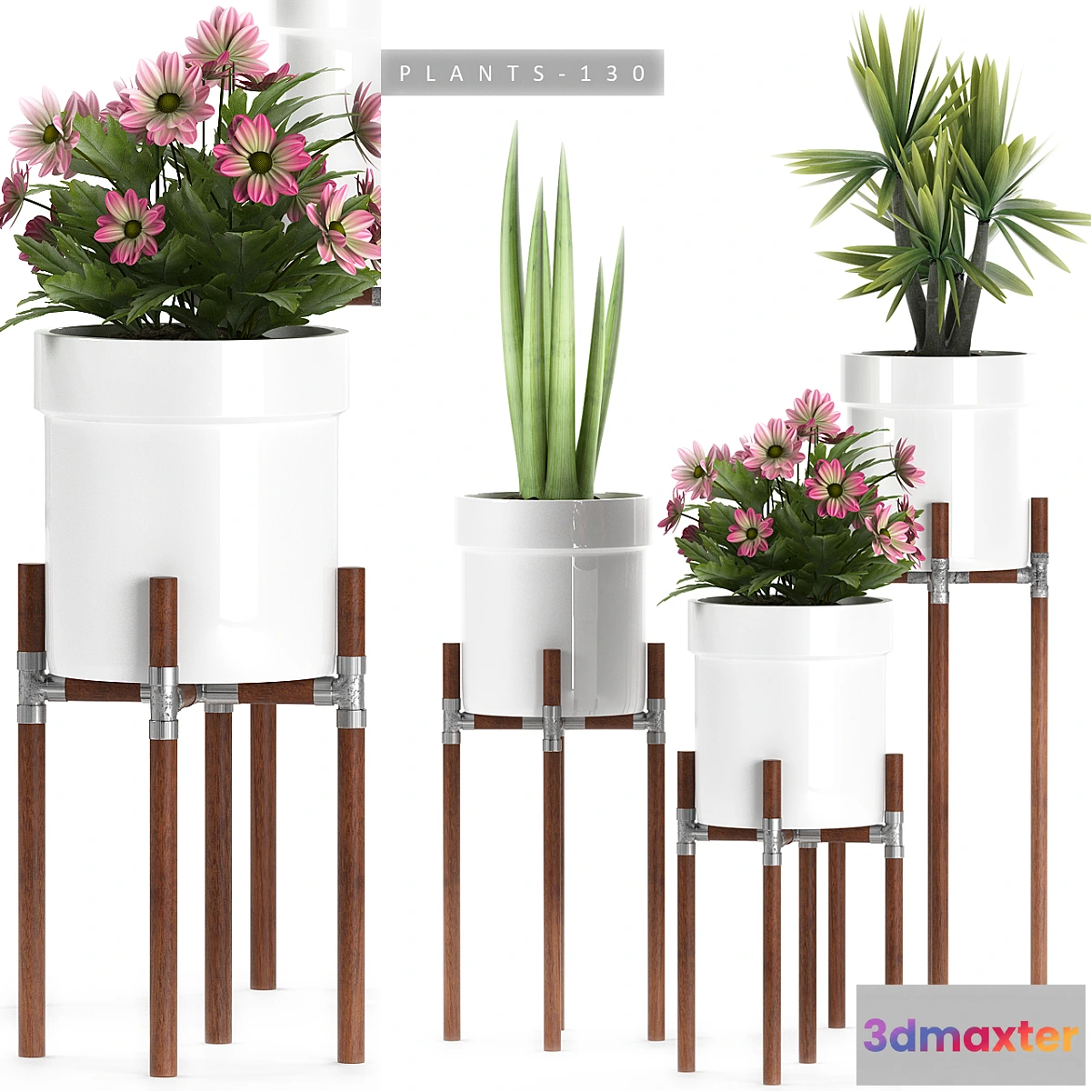 1407340 - PLANTS 130 3D Max