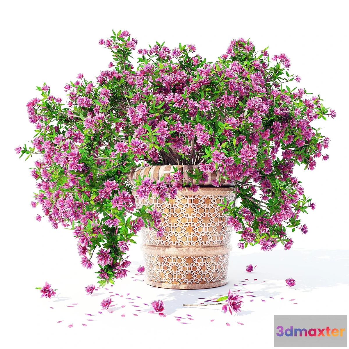 1407878 - Azalea_04 3D Max