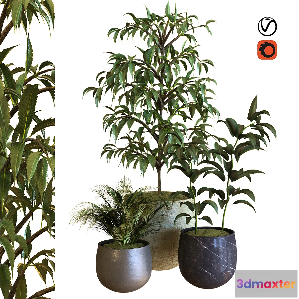 1409222 - plant in box set 040 3D Max