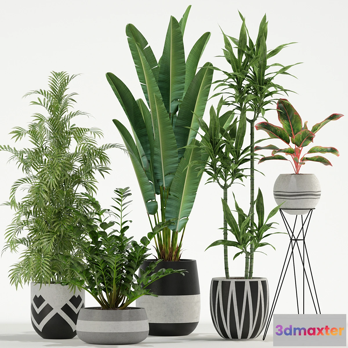 1409832 - Plants collection 726 3D Max