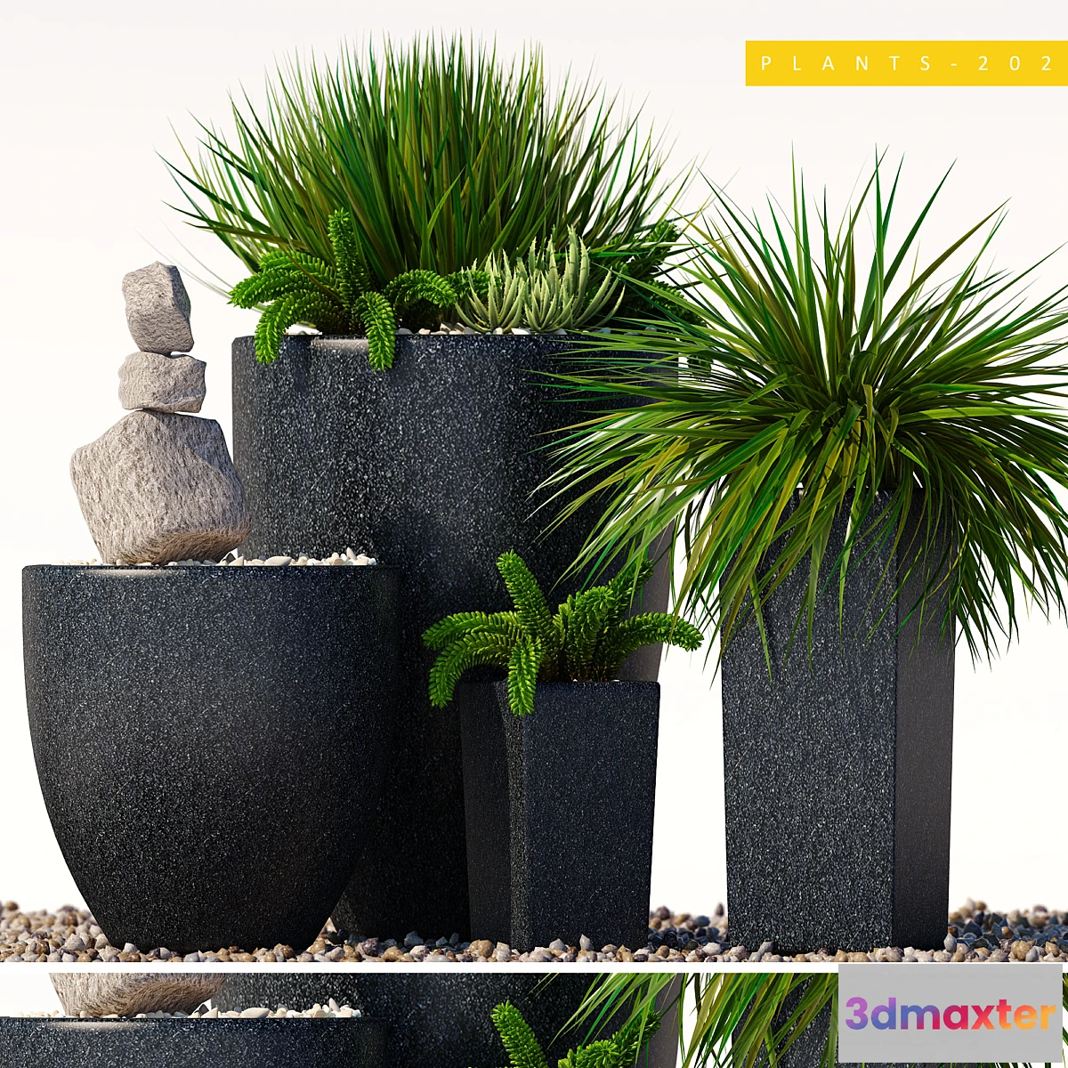 1411196 - plants 202 3D Max