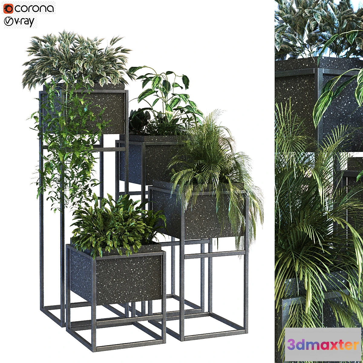 1413334 - plant in box set 067 3D Max