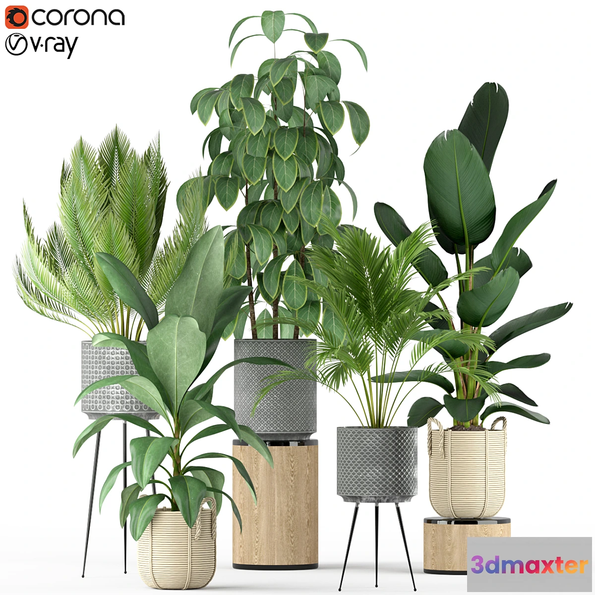 1413726 - Plants collection 213 3D Max