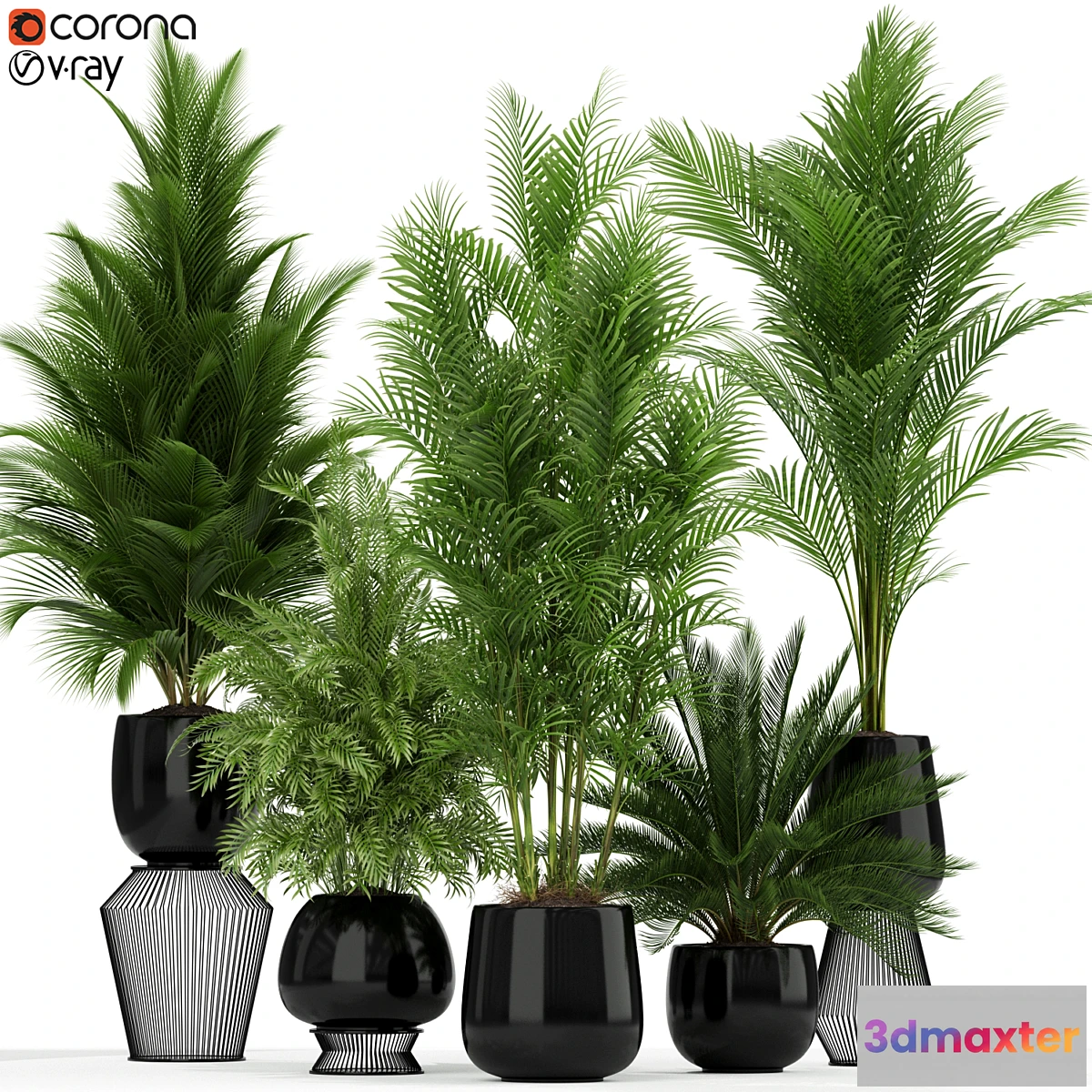 1414284 - Plants collection 184 3D Max