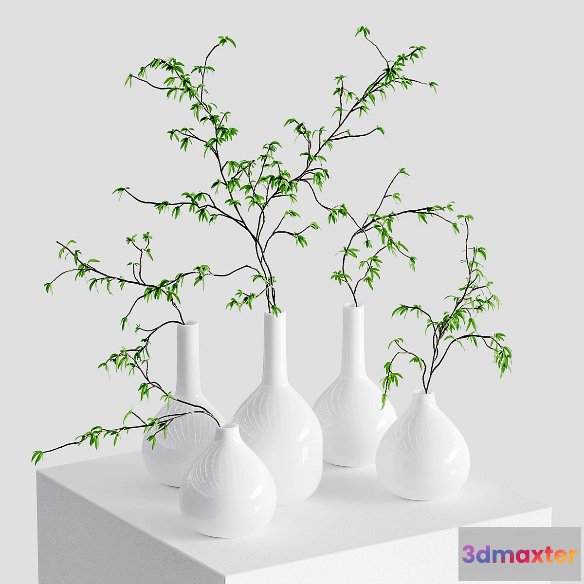 1414300 - Branches in vases 3D Max