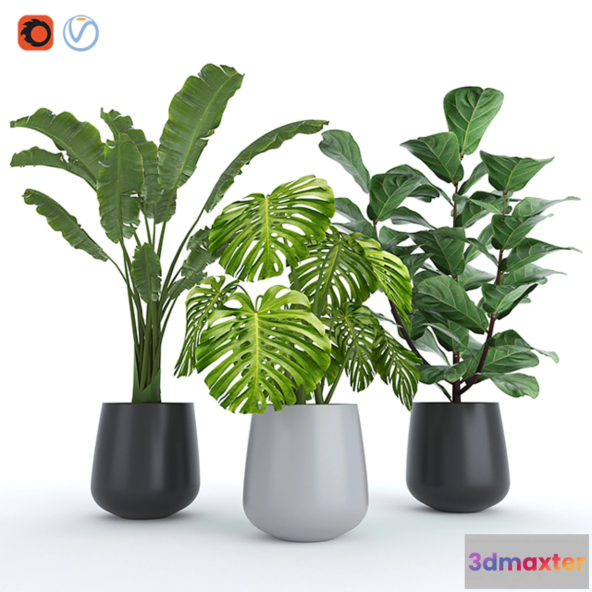 1414372 - Plant Set 4 3D Max
