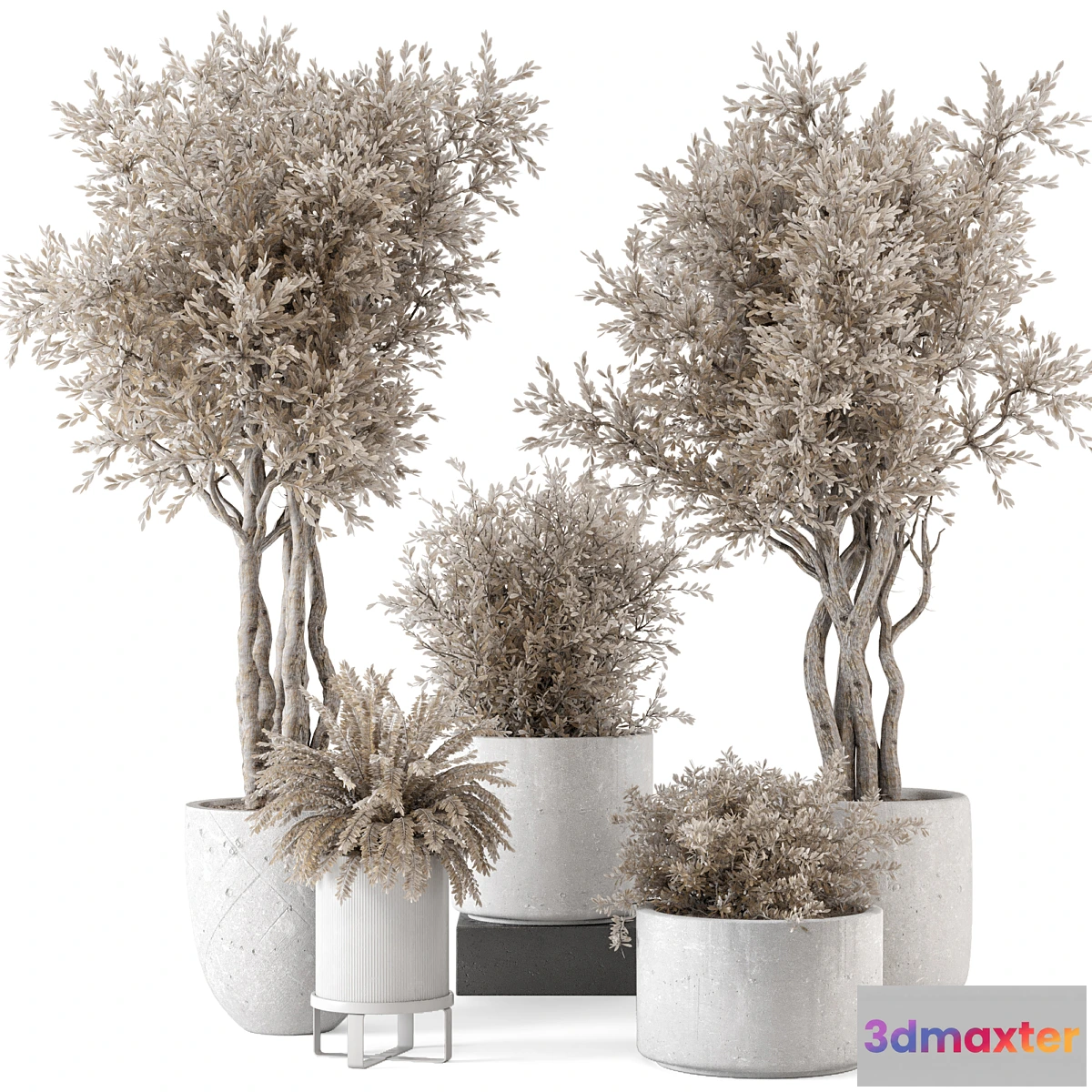 1414480 - Indoor Plants in rusty Concrete Pot - Set 809 3D Max